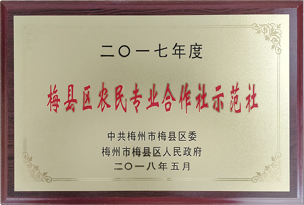 资质荣誉