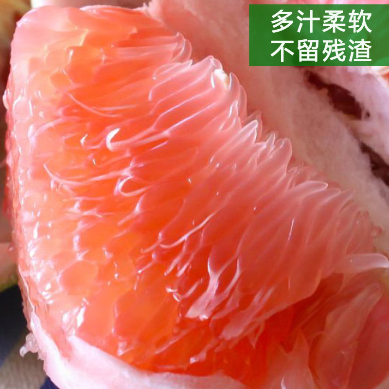 红肉蜜柚